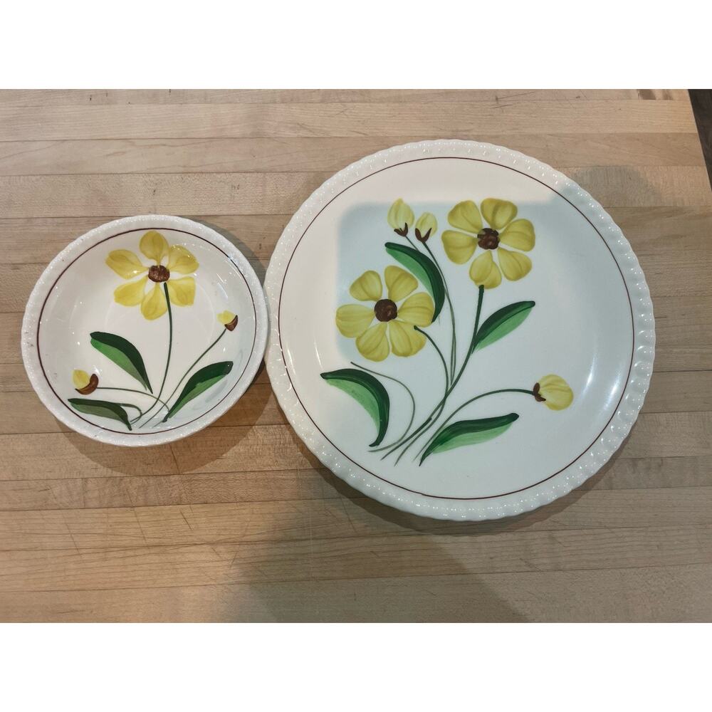 Blue Ridge Southern Potteries Floral “Sunshine” Hand Painted 9” Plate & Bowl USA